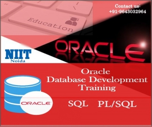 Oracle Training Institutes in Noida